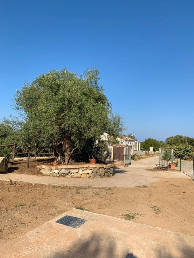 Sardegna "Ri-Ale" A Due Passi Dal Mare Bari Sardo - Ogliastra - Cod Iun Q8596 Villa Exteriör bild